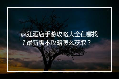疯狂酒店手游攻略大全在哪找?最新版本攻略怎么获取?