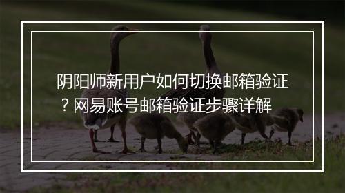 阴阳师新用户如何切换邮箱验证?网易账号邮箱验证步骤详解