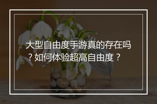 大型自由度手游真的存在吗？如何体验超高自由度？