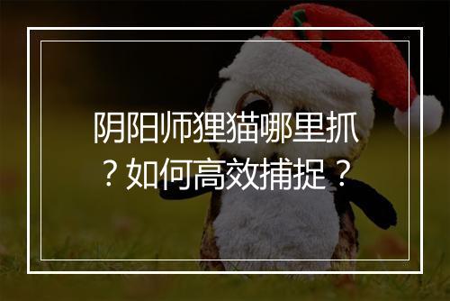 阴阳师狸猫哪里抓？如何高效捕捉？