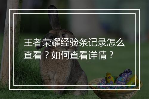 王者荣耀经验条记录怎么查看?如何查看详情?