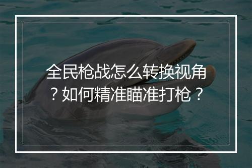 全民枪战怎么转换视角？如何精准瞄准打枪？