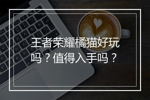 王者荣耀橘猫好玩吗?值得入手吗?