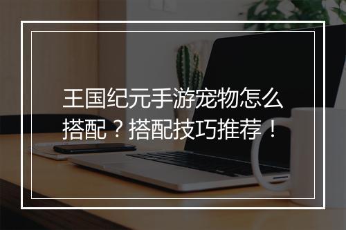 王国纪元手游宠物怎么搭配？搭配技巧推荐！