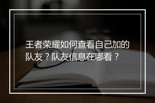王者荣耀如何查看自己加的队友?队友信息在哪看?
