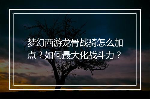 梦幻西游龙骨战骑怎么加点?如何最大化战斗力?