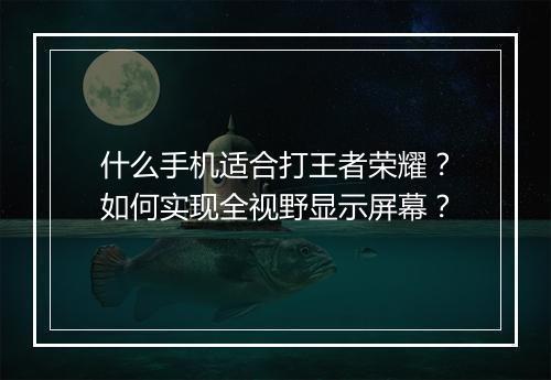 什么手机适合打王者荣耀?如何实现全视野显示屏幕?