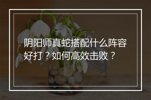 阴阳师真蛇搭配什么阵容好打？如何高效击败？