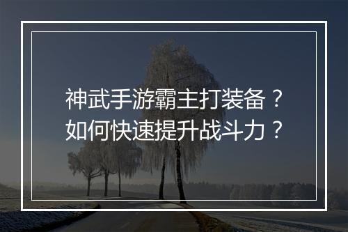 神武手游霸主打装备？如何快速提升战斗力？