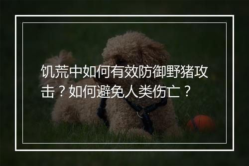 饥荒中如何有效防御野猪攻击？如何避免人类伤亡？