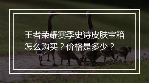 王者荣耀赛季史诗皮肤宝箱怎么购买?价格是多少?