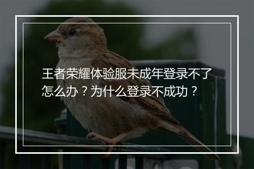 王者荣耀体验服未成年登录不了怎么办？为什么登录不成功？