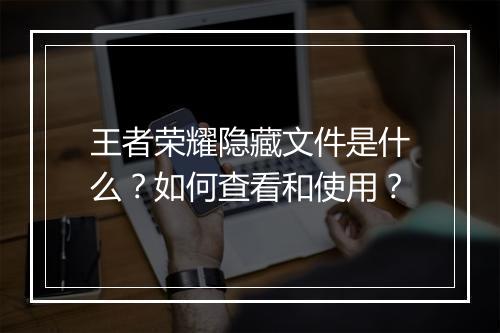 王者荣耀隐藏文件是什么?如何查看和使用?