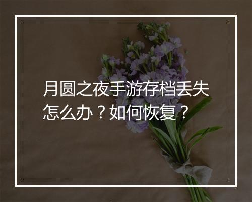 月圆之夜手游存档丢失怎么办？如何恢复？