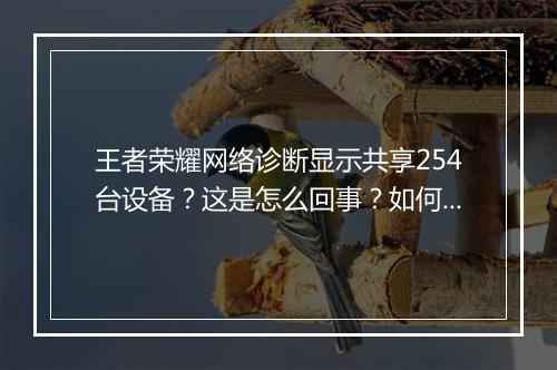 王者荣耀网络诊断显示共享254台设备?这是怎么回事?如何解决?