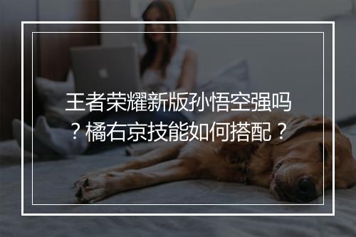王者荣耀新版孙悟空强吗？橘右京技能如何搭配？
