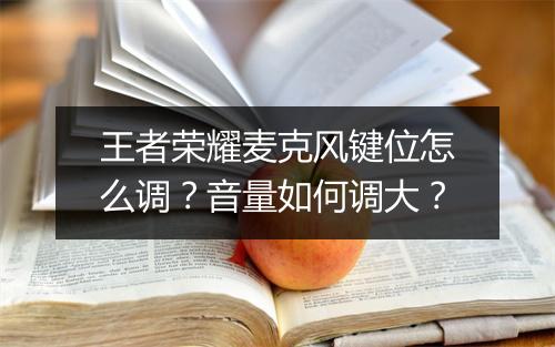 王者荣耀麦克风键位怎么调？音量如何调大？