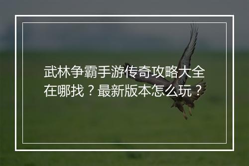 武林争霸手游传奇攻略大全在哪找?最新版本怎么玩?
