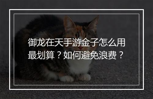 御龙在天手游金子怎么用最划算?如何避免浪费?
