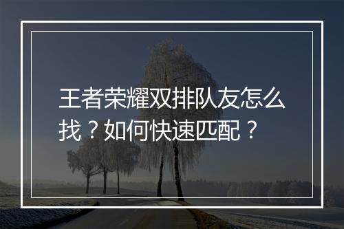 王者荣耀双排队友怎么找？如何快速匹配？