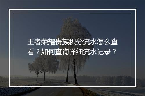 王者荣耀贵族积分流水怎么查看?如何查询详细流水记录?