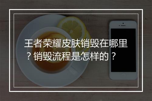 王者荣耀皮肤销毁在哪里?销毁流程是怎样的?