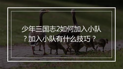 少年三国志2如何加入小队?加入小队有什么技巧?