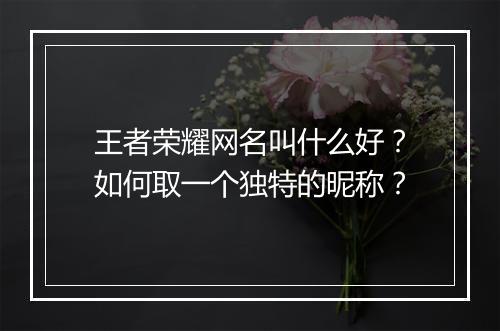 王者荣耀网名叫什么好？如何取一个独特的昵称？