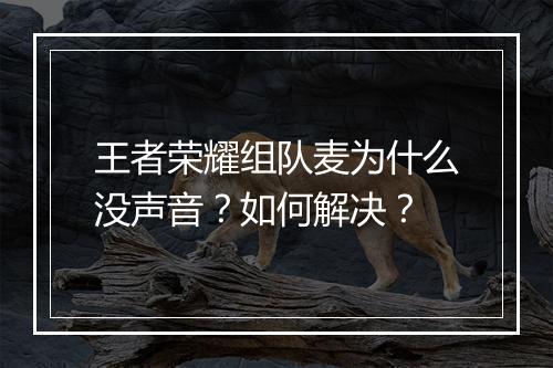 王者荣耀组队麦为什么没声音?如何解决?