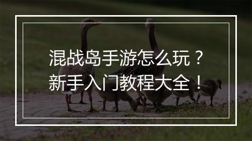 混战岛手游怎么玩?新手入门教程大全!