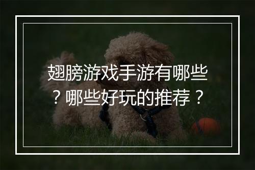 翅膀游戏手游有哪些？哪些好玩的推荐？