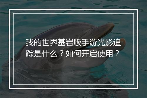 我的世界基岩版手游光影追踪是什么?如何开启使用?