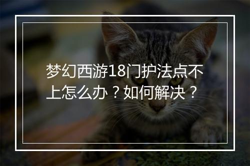 梦幻西游18门护法点不上怎么办？如何解决？
