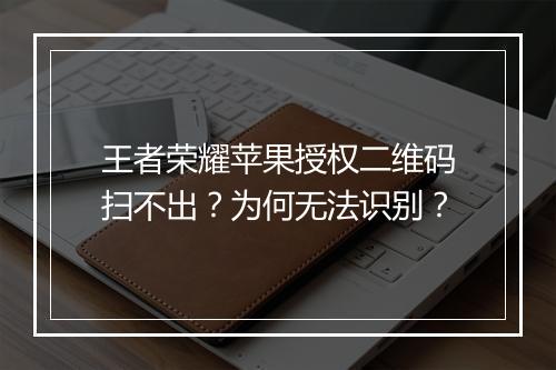 王者荣耀苹果授权二维码扫不出?为何无法识别?