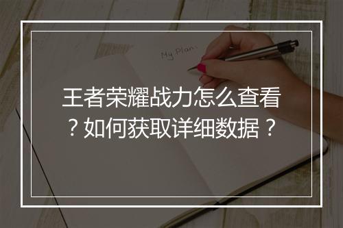 王者荣耀战力怎么查看?如何获取详细数据?