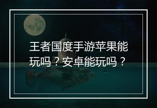 王者国度手游苹果能玩吗？安卓能玩吗？