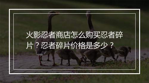 火影忍者商店怎么购买忍者碎片?忍者碎片价格是多少?
