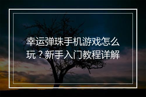 幸运弹珠手机游戏怎么玩？新手入门教程详解