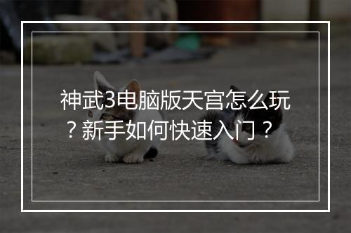 神武3电脑版天宫怎么玩?新手如何快速入门?