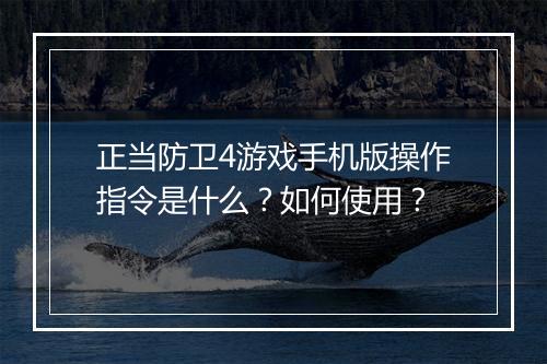 正当防卫4游戏手机版操作指令是什么?如何使用?