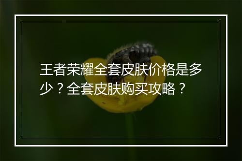 王者荣耀全套皮肤价格是多少?全套皮肤购买攻略?