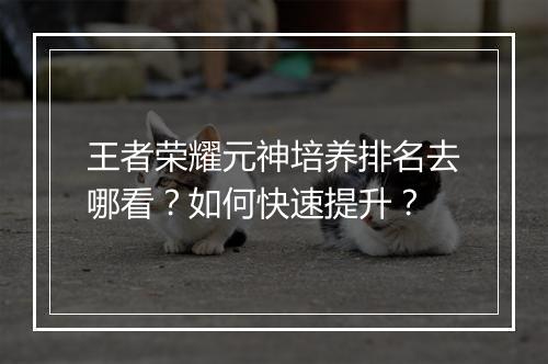 王者荣耀元神培养排名去哪看?如何快速提升?