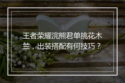 王者荣耀浣熊君单挑花木兰,出装搭配有何技巧?