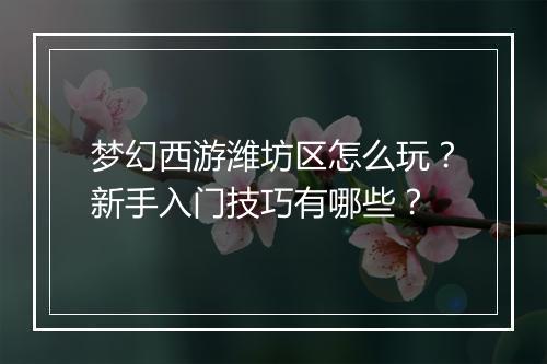 梦幻西游潍坊区怎么玩?新手入门技巧有哪些?