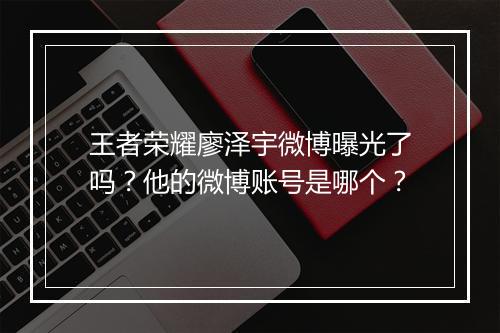 王者荣耀廖泽宇微博曝光了吗?他的微博账号是哪个?