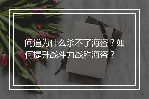 问道为什么杀不了海盗？如何提升战斗力战胜海盗？