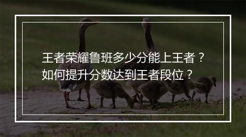 王者荣耀鲁班多少分能上王者？如何提升分数达到王者段位？