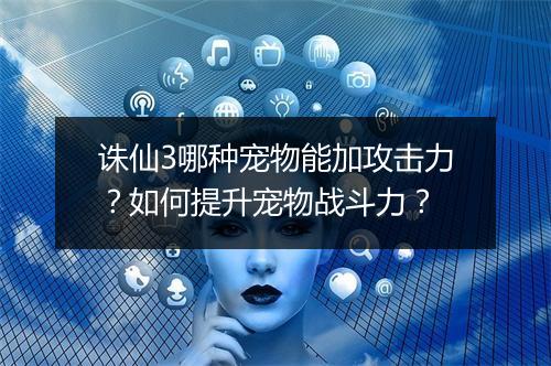 诛仙3哪种宠物能加攻击力？如何提升宠物战斗力？