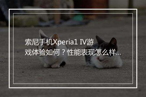 索尼手机Xperia1 IV游戏体验如何?性能表现怎么样?