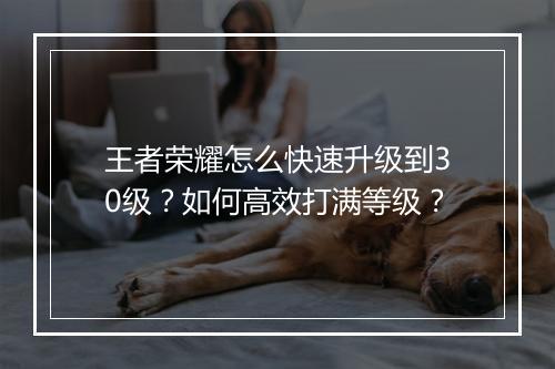 王者荣耀怎么快速升级到30级？如何高效打满等级？
